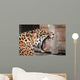 Roaring Jaguar Portrait Wild Wall Decal