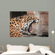 Roaring Jaguar Portrait Wild Wall Decal
