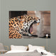 Roaring Jaguar Portrait Wild Wall Decal