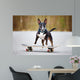 Dog Skateboard Wall Decal