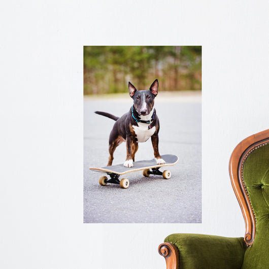 English Bull Terrier Dog Wall Decal