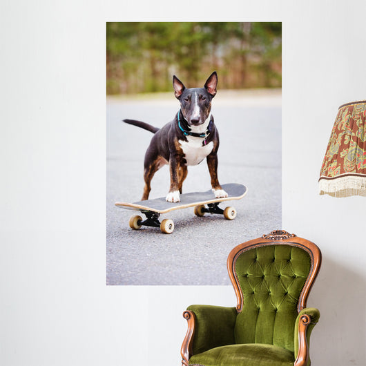 English Bull Terrier Dog Wall Decal