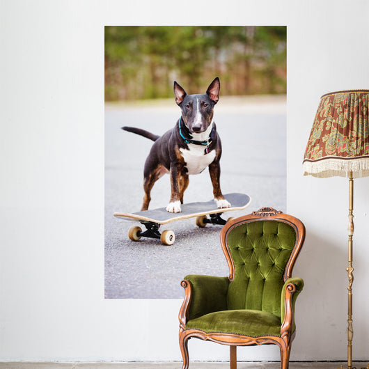 English Bull Terrier Dog Wall Decal
