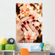 Women's Manicure with Maroon-red Wall Decal