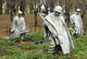 Korean War Veterans memorial Wall Mural