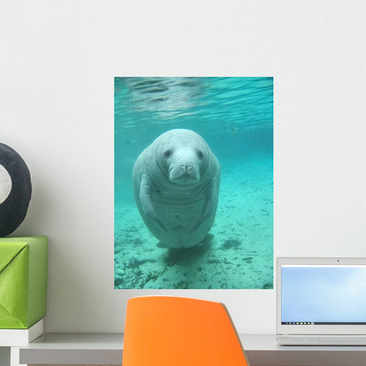 Manatee Wall Decal
