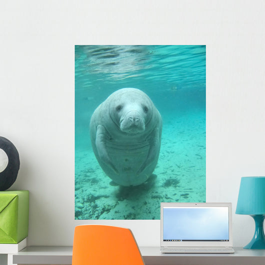 Manatee Wall Decal