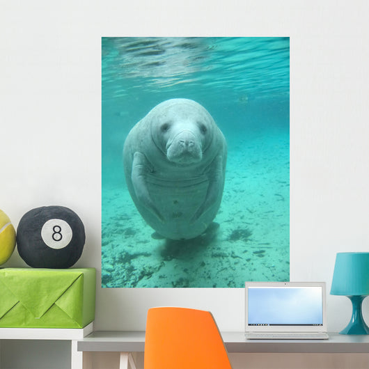 Manatee Wall Decal