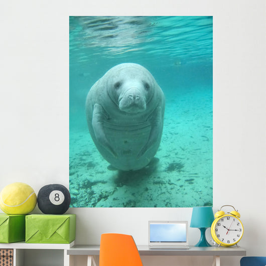 Manatee Wall Decal