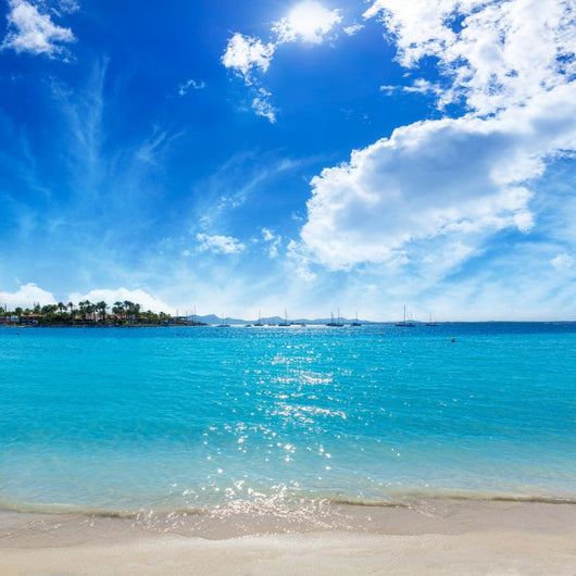 Platja Alcudia Beach Mallorca Wall Decal