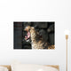 Leopardo Che Sbadiglia Wall Decal