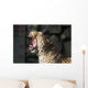 Leopardo Che Sbadiglia Wall Decal