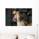 Leopardo Che Sbadiglia Wall Decal