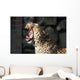 Leopardo Che Sbadiglia Wall Decal