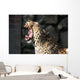 Leopardo Che Sbadiglia Wall Decal