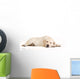 Sleeping Yellow Labrador Puppy Wall Decal