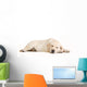 Sleeping Yellow Labrador Puppy Wall Decal