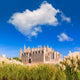 Majorca Palma Cathedral Seu Wall Decal