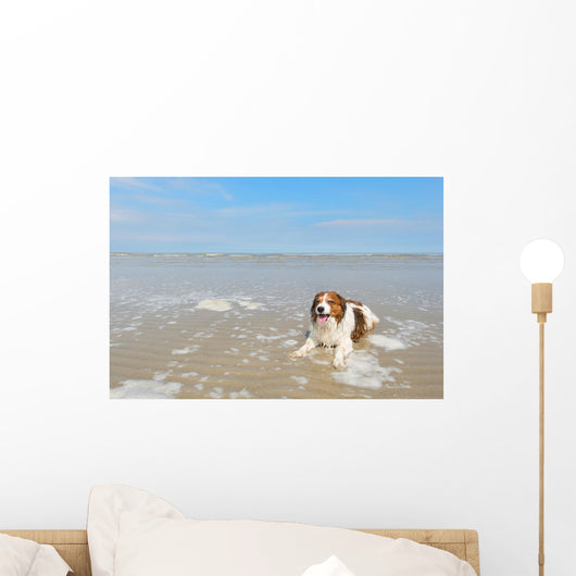 North Sea Beach Wall Decal