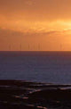 Offshore Windfarm Wall Decal