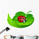 Ladybug Leaf Wall Decal