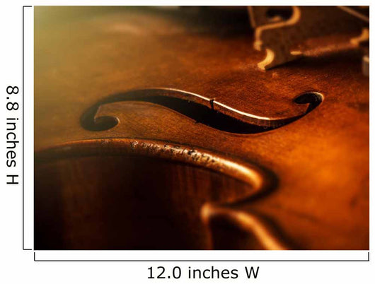 Violin Vintage Style Wall Decal
