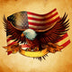 Eagle Flag USA Vintage Wall Decal