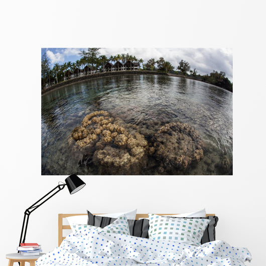 Corals and Resort Pacific Wall Decal