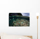 Fish and Reef Pacific Wall Decal