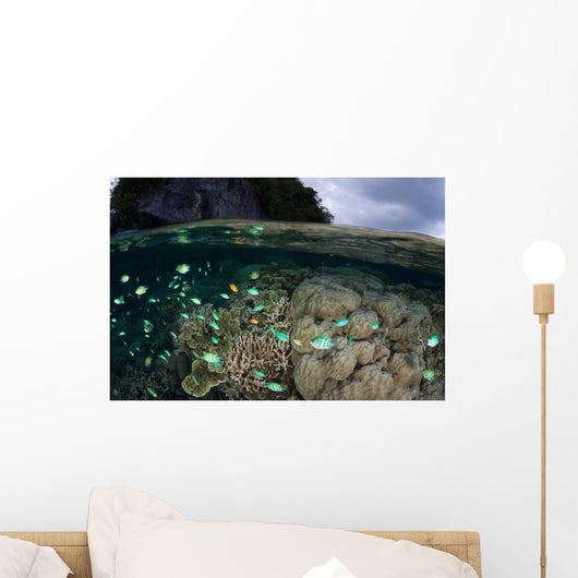 Fish and Reef Pacific Wall Decal