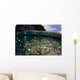 Fish and Reef Pacific Wall Decal