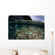 Fish and Reef Pacific Wall Decal