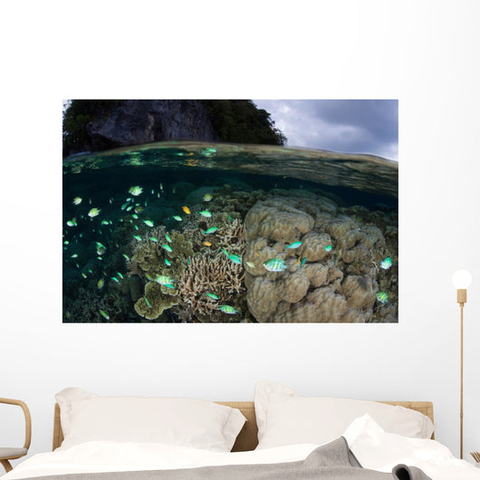 Fish and Reef Pacific Wall Decal
