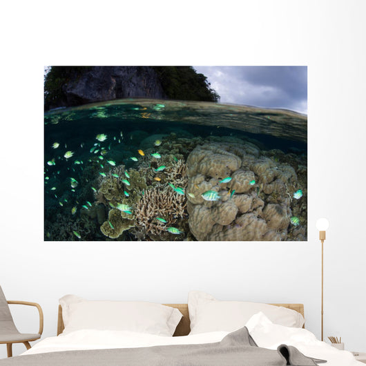 Fish and Reef Pacific Wall Decal