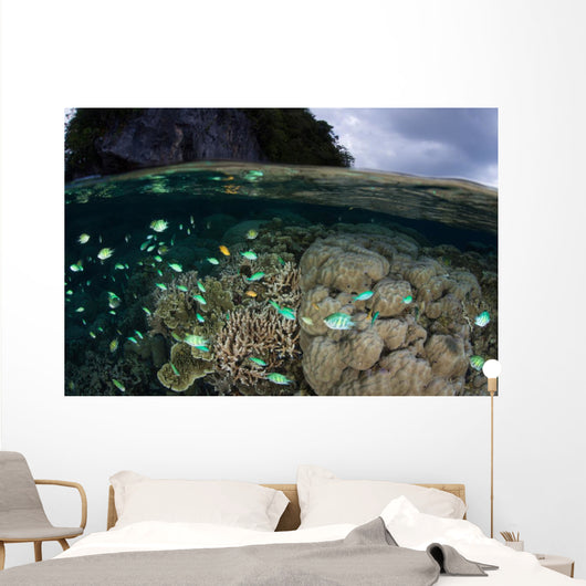 Fish and Reef Pacific Wall Decal