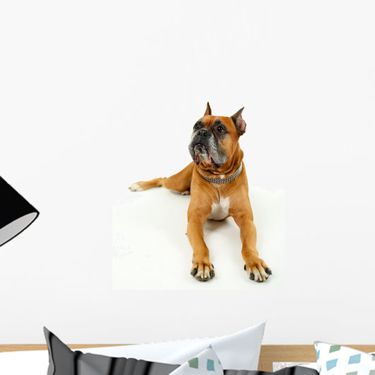 Cute Dog White Wall Decal Design 2