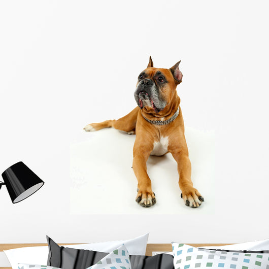Cute Dog White Wall Decal Design 2
