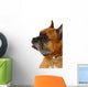 Boxer Dog Wall Decal