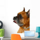 Boxer Dog Wall Decal