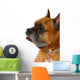 Boxer Dog Wall Decal