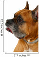 Boxer Dog Wall Decal