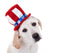 Patriotic Puppy Dog Wall Decal