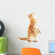 Begging Red Cat Wall Decal