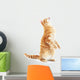 Begging Red Cat Wall Decal