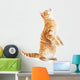 Begging Red Cat Wall Decal