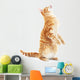 Begging Red Cat Wall Decal