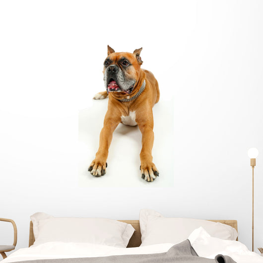 Cute Dog White Wall Decal Design 1