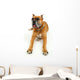 Cute Dog White Wall Decal Design 1