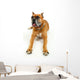 Cute Dog White Wall Decal Design 1