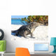 Iguana on white sand beach in Cayo Largo, Cuba Wall Mural